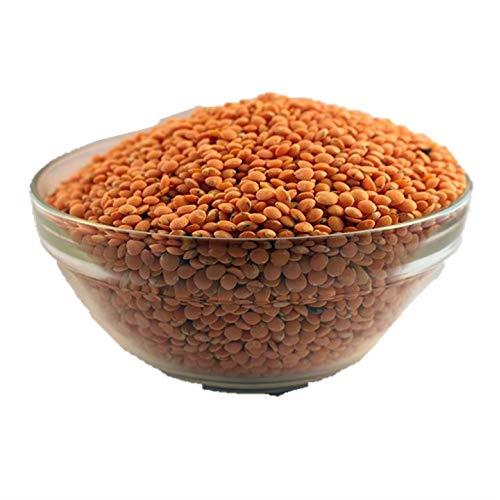 AIVA Organic Red Lentils Whole 2 LB - Washed | NO Husk (Dry Lentils, Non-GMO, Kosher, Raw, Masoor Malka Bulk)