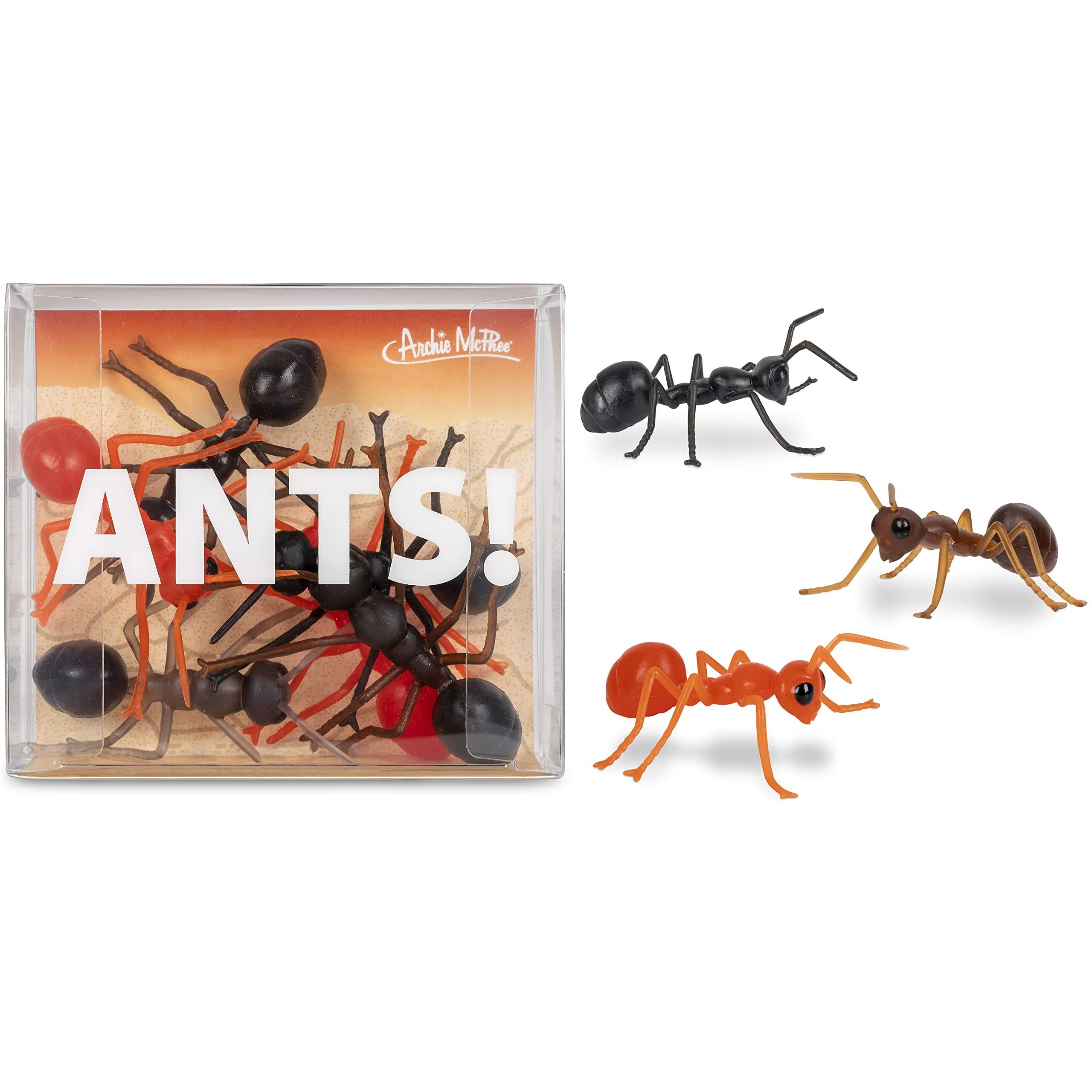 Mcphee Accoutrements Archie Funny Gift Box of Novelty Ants (6 Pack)